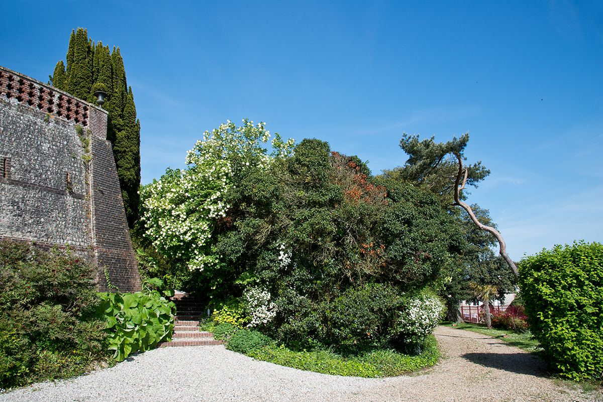 Castel de la Terrasse, chambre d'hôtes de luxe à Etretat en Normandie, Adresses Exclusives