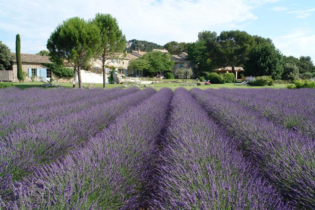 Mas de la Rose, Chambre d'hôtes de luxe à Orgon proche de St Remy de Provence, Adresses Exclusives