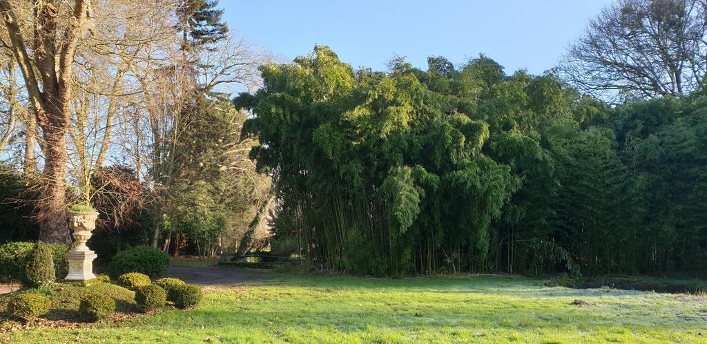 La Villa des Arts, chambre d'hôtes et maison d'hôtes de luxe à Savigné-l'Évêque, proche de Le Mans dans le Centre Val de Loire, Adresses Exclusives.