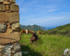 Campo d’Unico - Chambre d’hôtes & Locations de maisons de charme en Corse du Sud - Adresses Exclusives